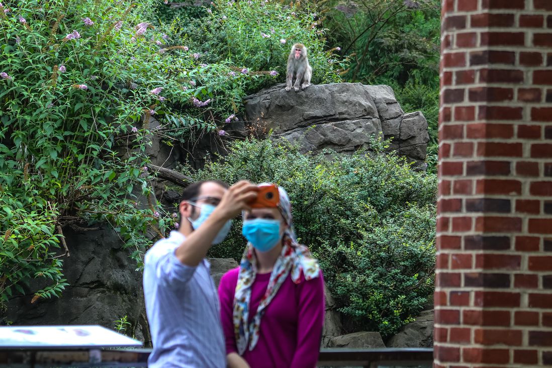 masked zoo visitors